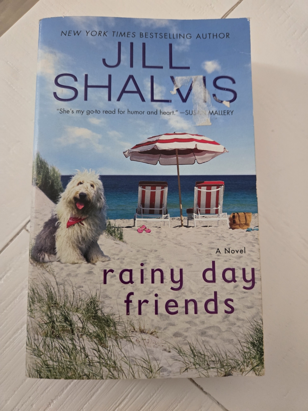 Paperbacks 'Rainy Day Friends' - Blue, White & Red Beach Cover